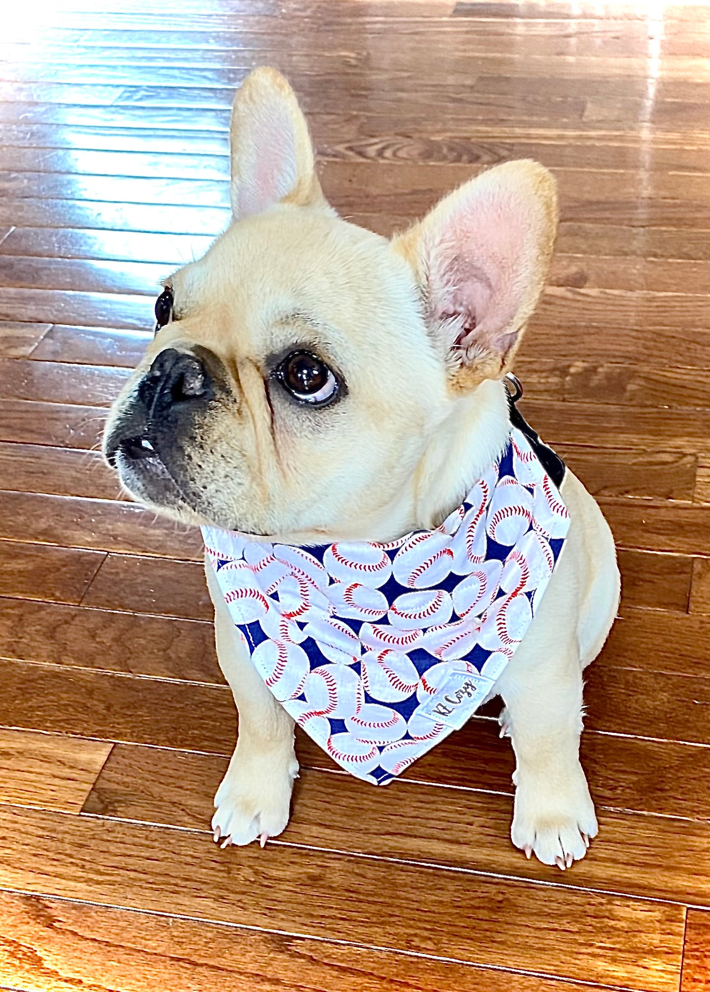 Baseball Dog Bandana